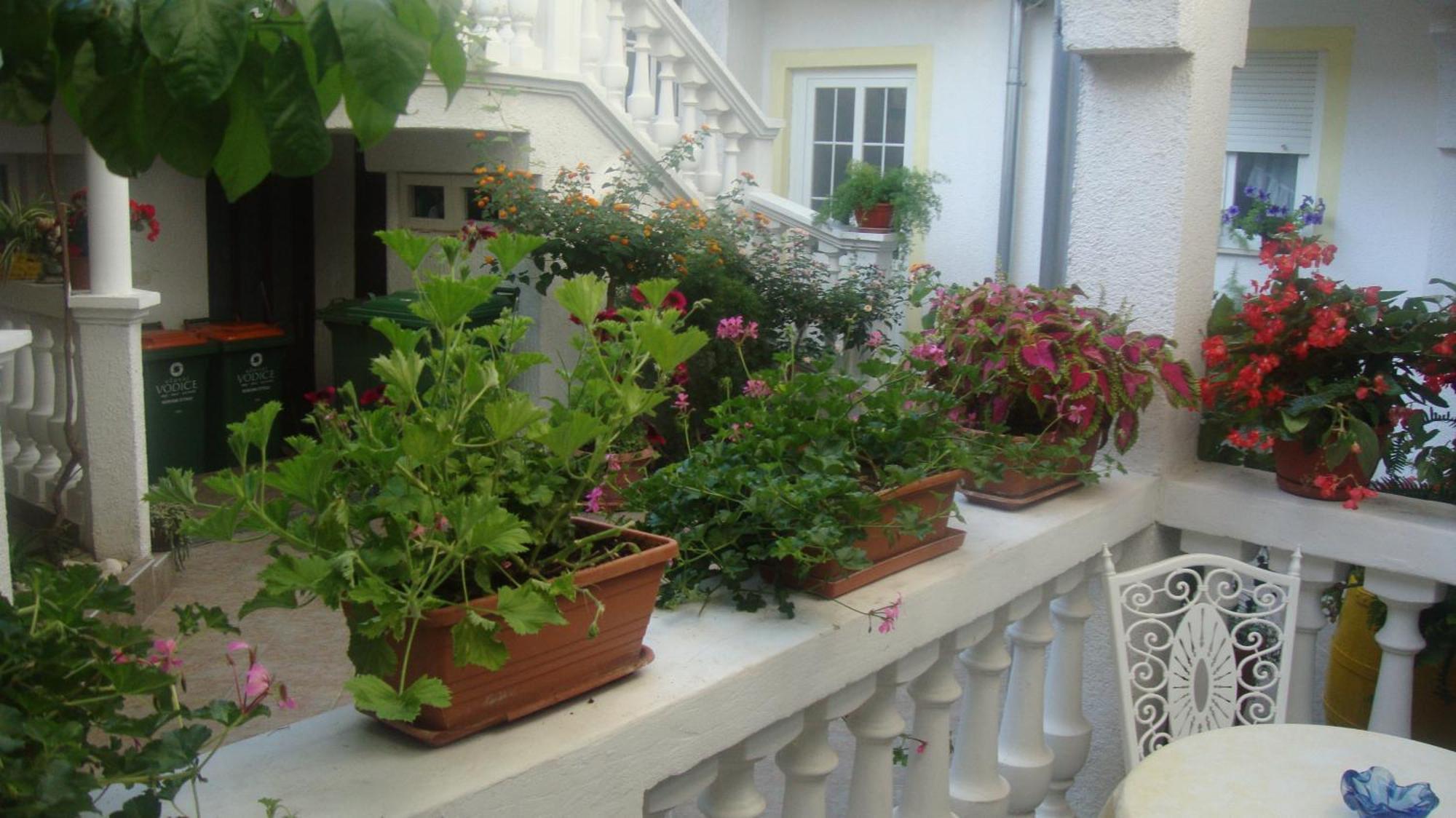 Apartments Vodice Marica Kamer foto